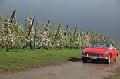 MG Bloesemrit op 24-4-2016 org. Jos&Marie-lou  (298)